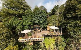 Sapa Jungle Homestay